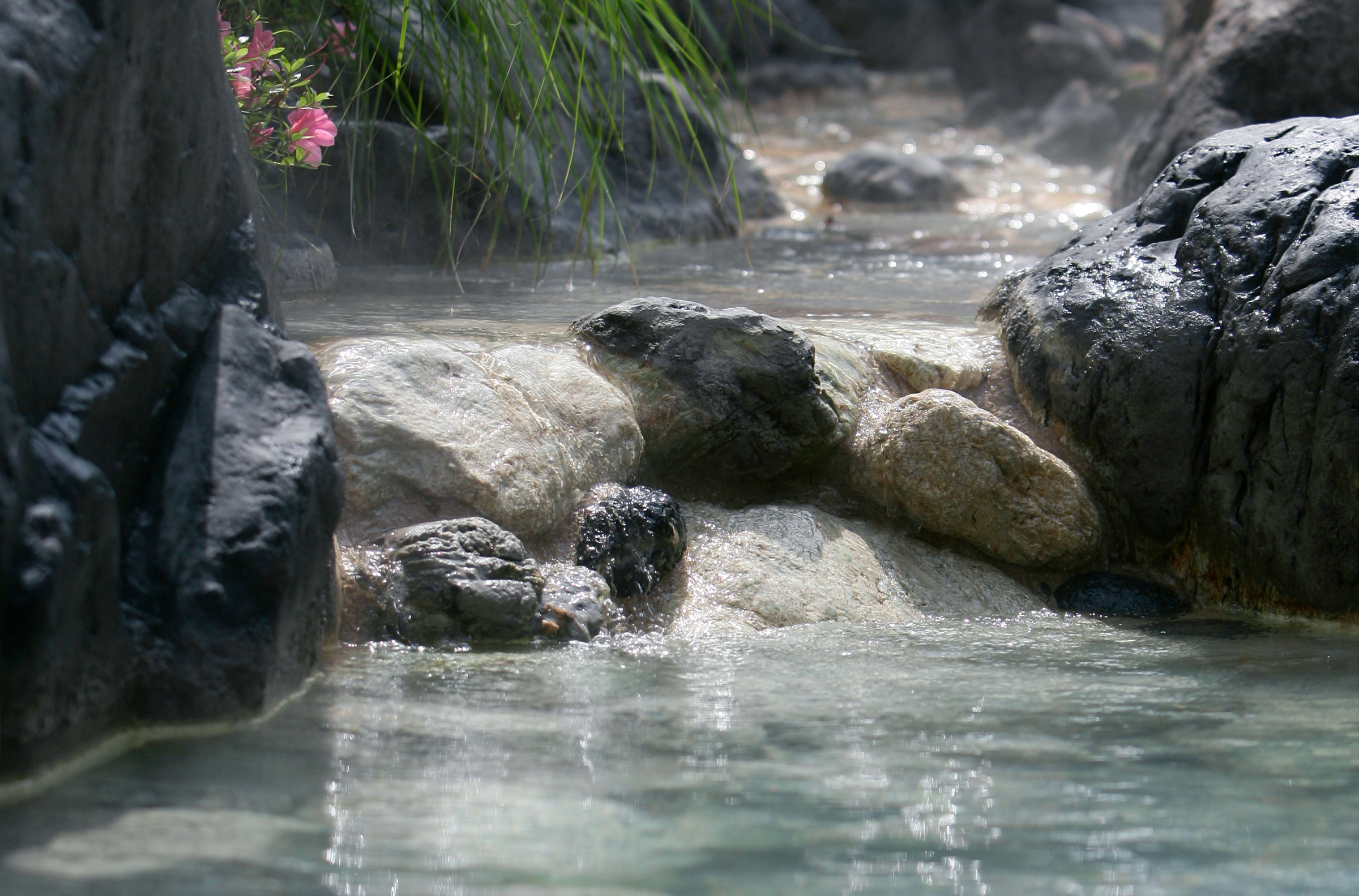 美肌の湯菊池温泉