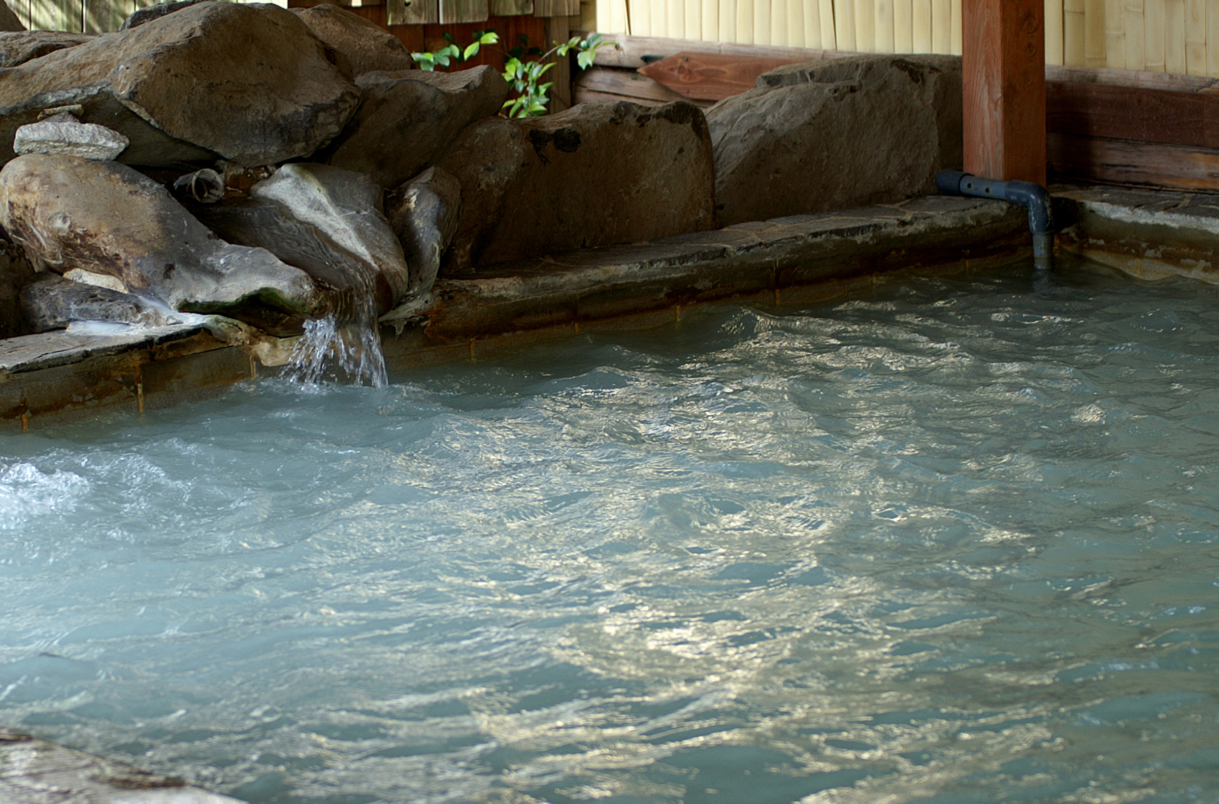 美肌の湯菊池温泉
