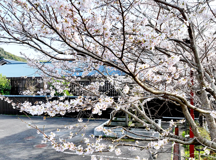 天然温泉 VILLA もとの湯